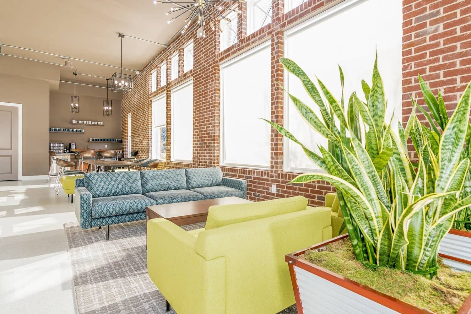 Lounge corner with sofa, plants, and lime armchair